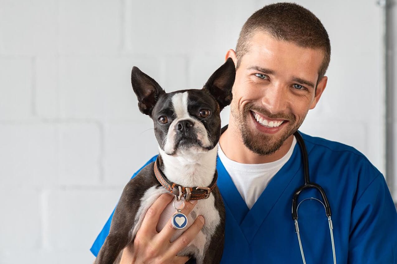 CEP Formación - Cursos Tenerife | Ayudante Técnico Veterinario