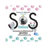 Logotipo de SOS Felina
