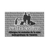 Logotipo de Valle Colino